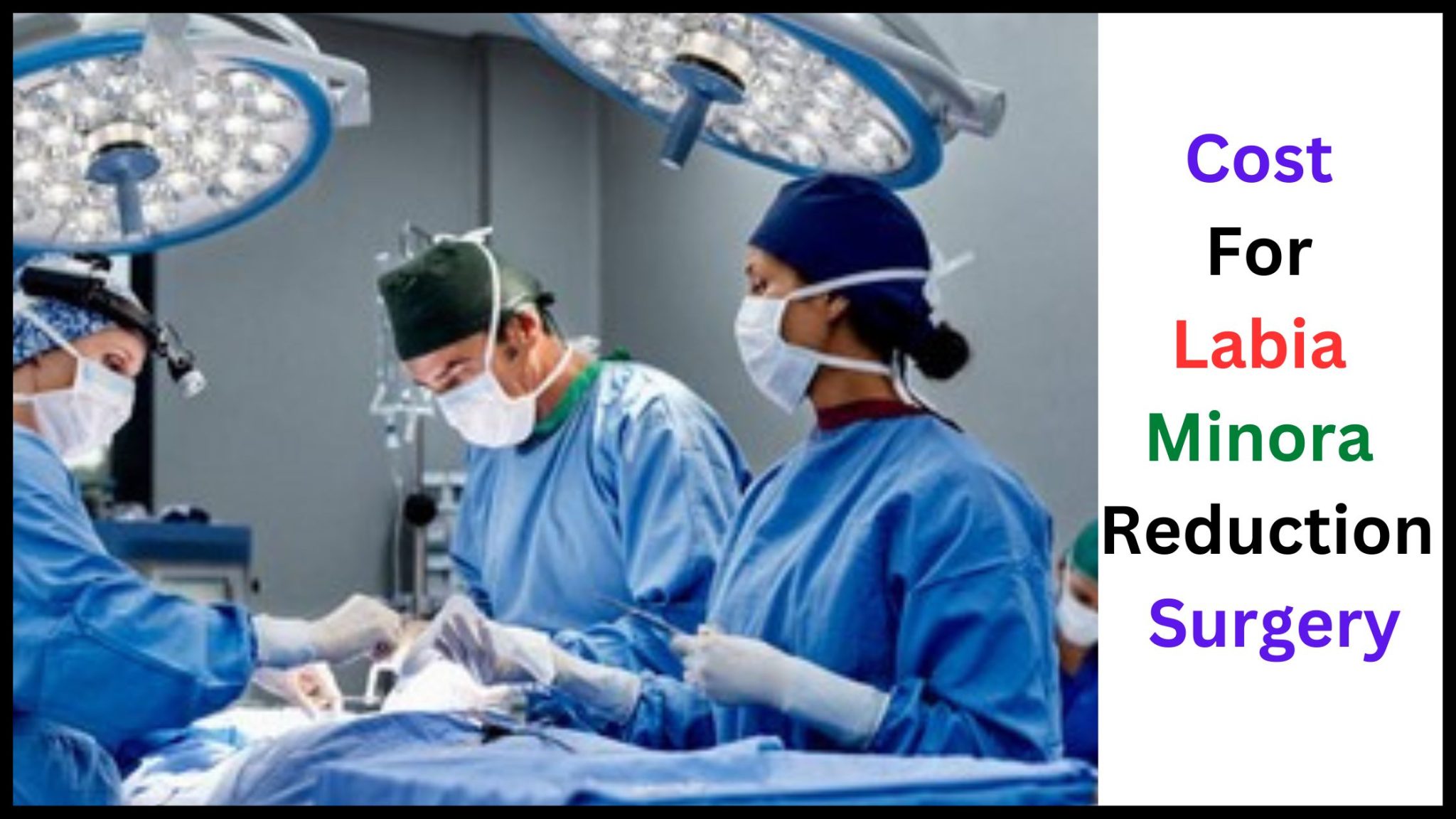 Cost For Labia Minora Reduction Surgery Factors to KNOW! Servicedisplay