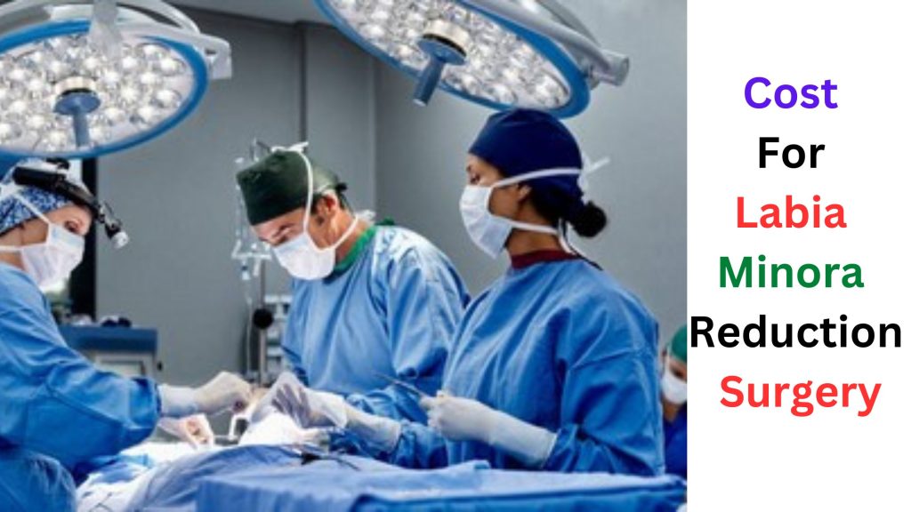 Cost For Labia Minora Reduction Surgery Factors to KNOW! Servicedisplay
